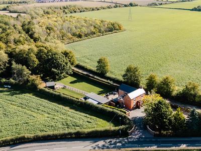 Picture 51